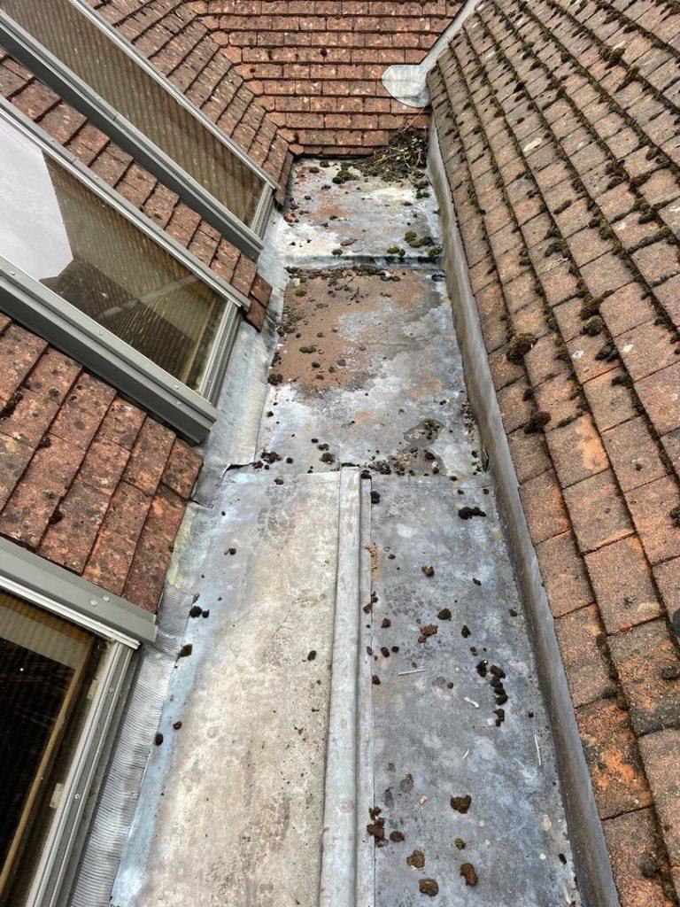 metal middle roof